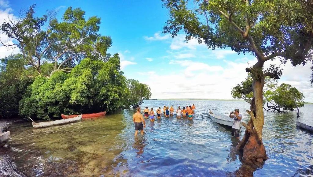 Visitors wading in the shallow water of Mida Creek