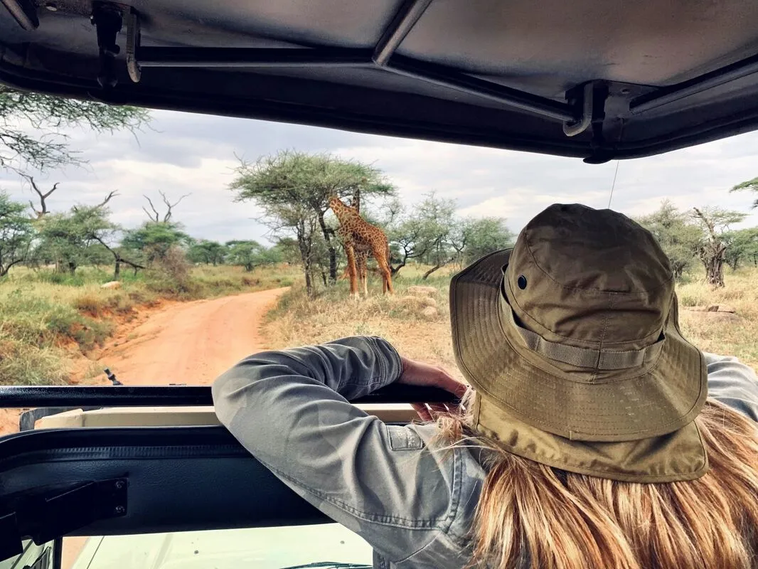 Traveller in a safari hat looking out of a safari vehicle