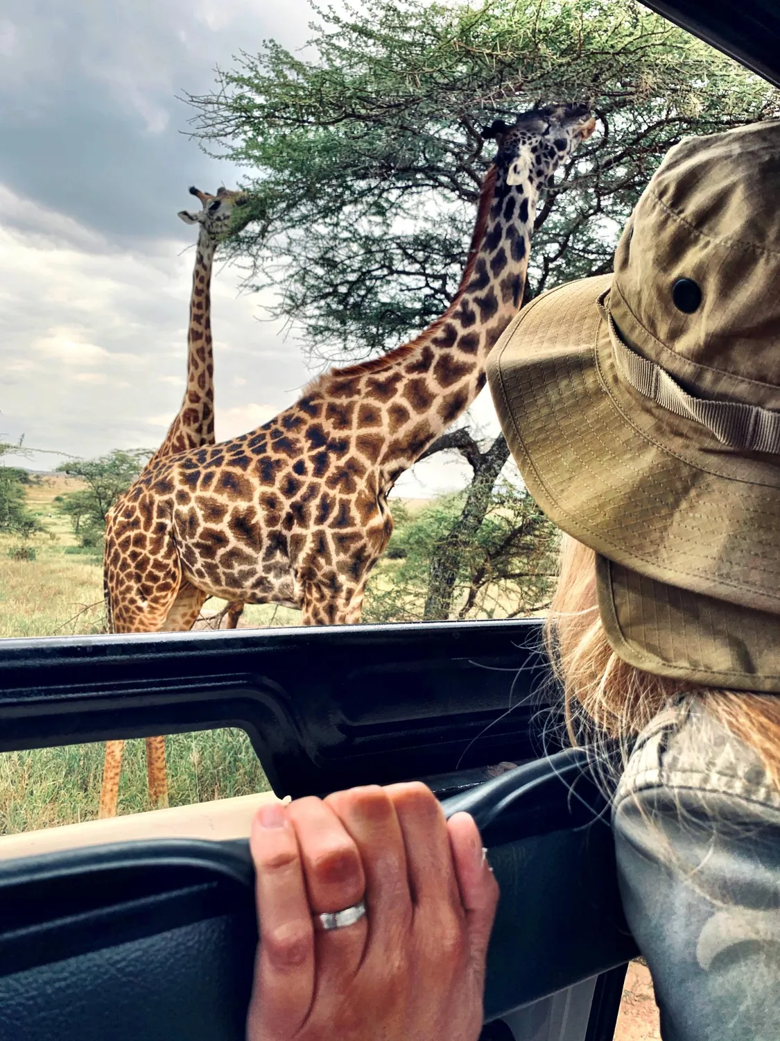 Giraffa vista da vicino da un fuoristrada da safari