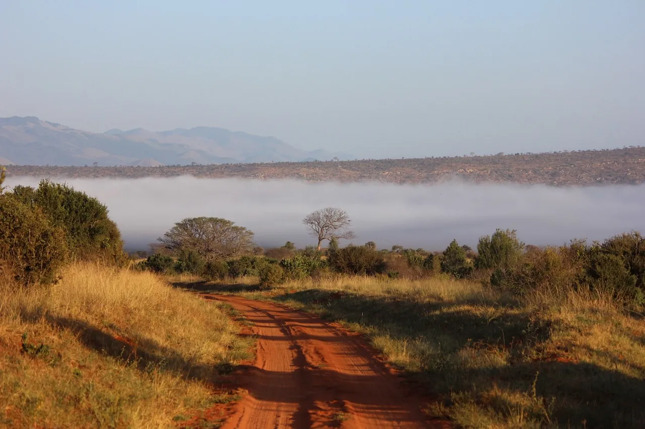 Pista di terra rossa nella savana di Tsavo East